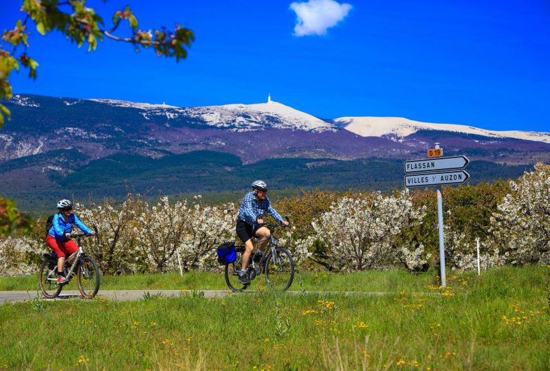 At the foot of the Mont Ventoux – Cycling – à Mollans-sur-Ouvèze - 0