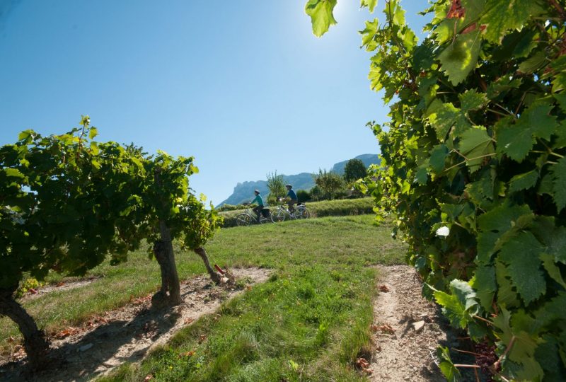 At the foot of the Mont Ventoux – Cycling – à Mollans-sur-Ouvèze - 3