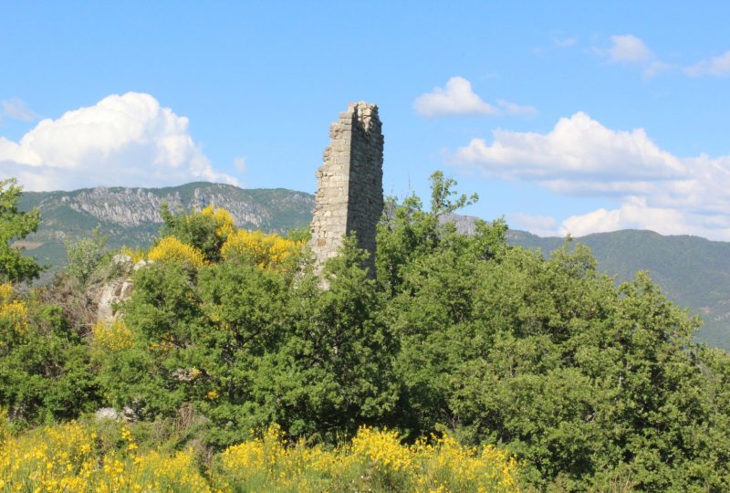 Château de la Colombières à Bésignan - 0