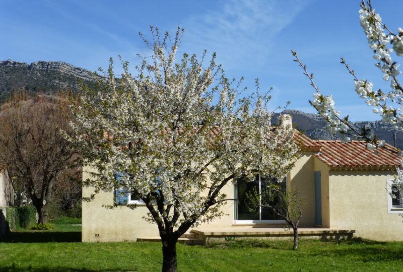 Le petit gîte du grand jardin à Buis-les-Baronnies - 0