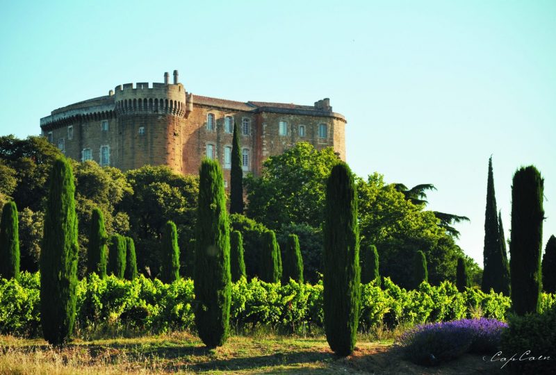 Université du Vin (wine university) à Suze-la-Rousse - 1