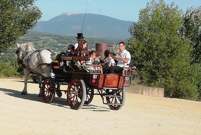 Les Attelages du Château à Saint-Maurice-sur-Eygues - 0