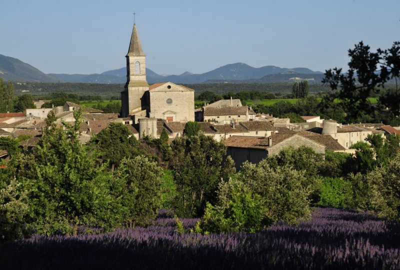 Eglise St Vincent à Taulignan - 0