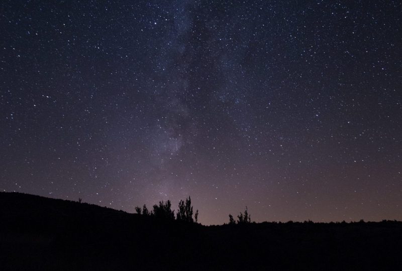 The Head in the Stars à Rémuzat - 1