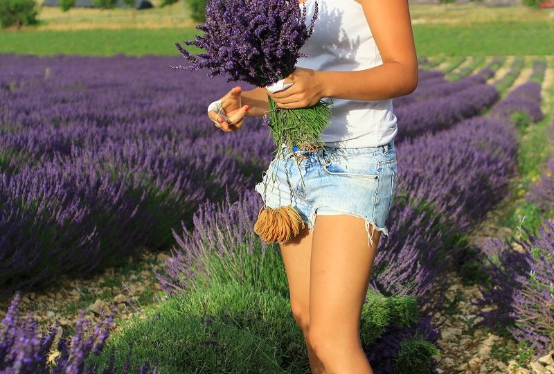 Ho ! Bouquet de Lavande, visit to a lavender farmer à Ferrassières - 0