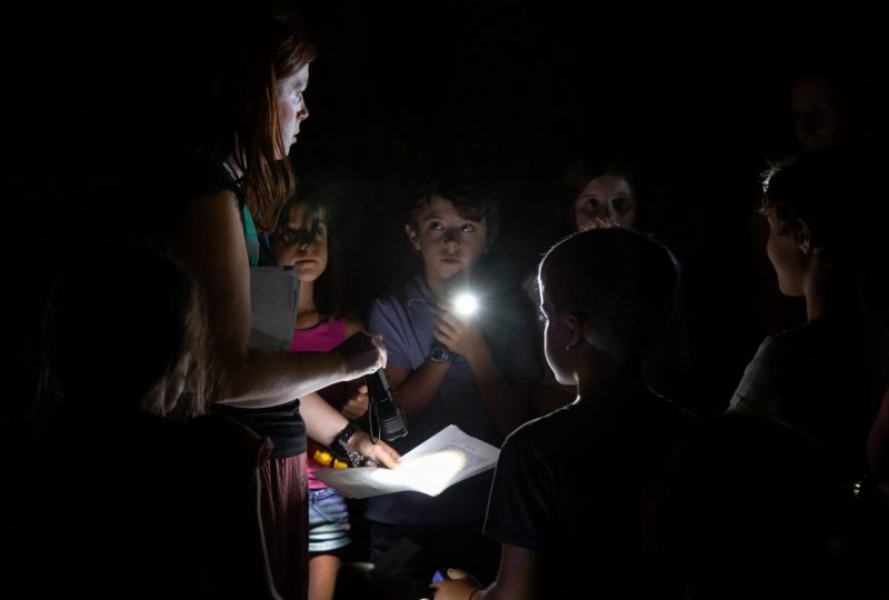 Enquête à la lampe de poche à Buis à Buis-les-Baronnies - 2