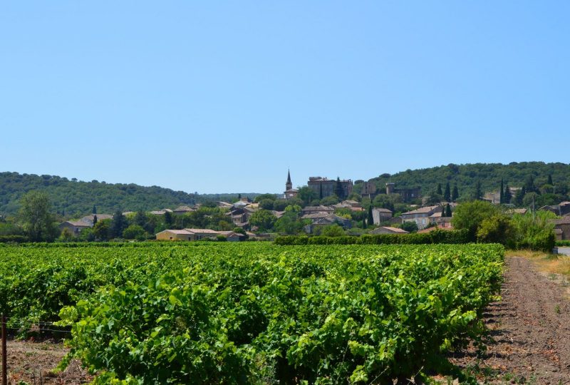 La sente de la Farigoule à Rochegude - 0